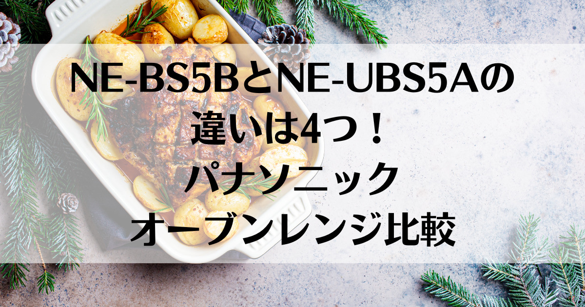 NE-BS5BとNE-UBS5Aの違いは4つ！パナソニックオーブンレンジ比較